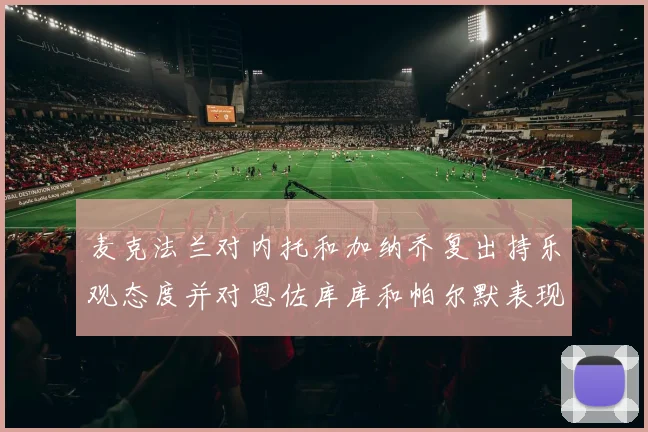 麦克法兰对内托和加纳乔复出持乐观态度并对恩佐库库和帕尔默表现表示满意