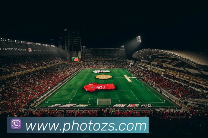 体育直播服务